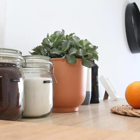 Amazing In Front Of The Sea